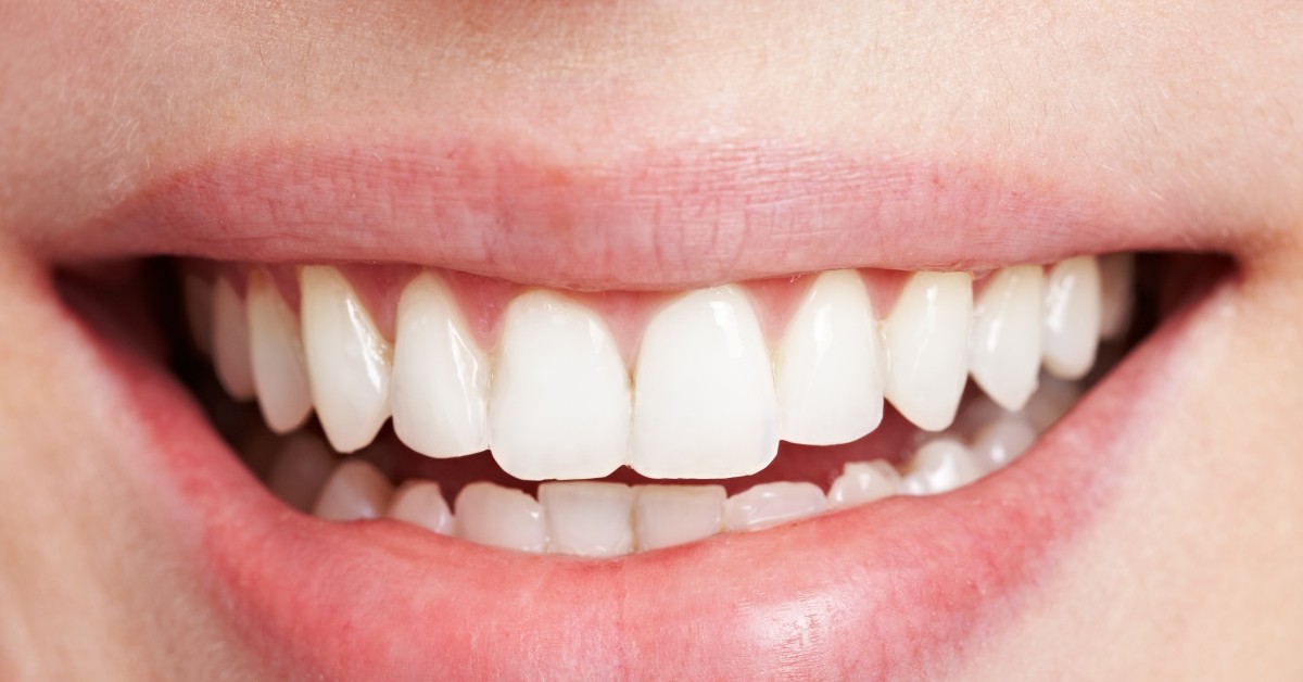 banner-2019-04-25T131052-855-5cc206491dc8b